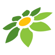 YOUTUBE LOGO PNG